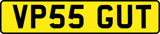 VP55GUT