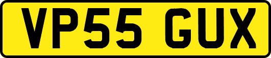 VP55GUX