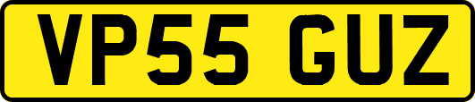 VP55GUZ