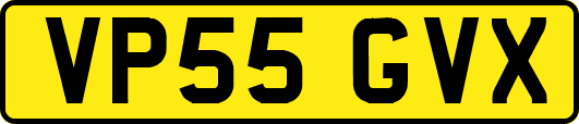 VP55GVX
