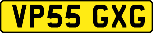 VP55GXG