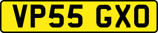 VP55GXO