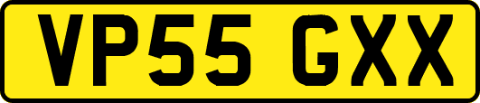 VP55GXX