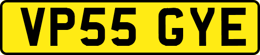 VP55GYE