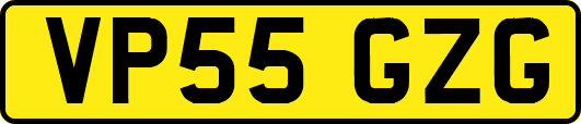 VP55GZG