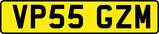 VP55GZM