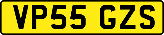 VP55GZS
