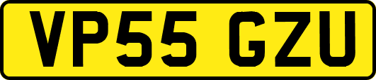 VP55GZU