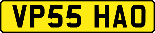 VP55HAO