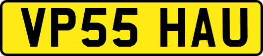 VP55HAU