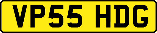 VP55HDG