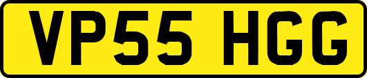 VP55HGG