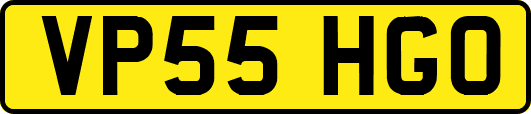 VP55HGO