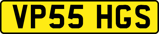 VP55HGS