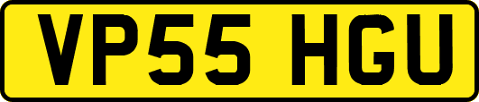 VP55HGU