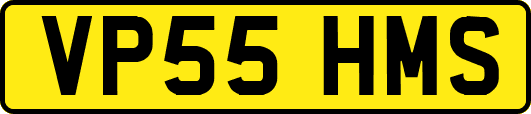 VP55HMS