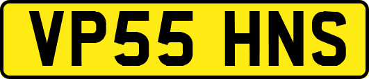 VP55HNS