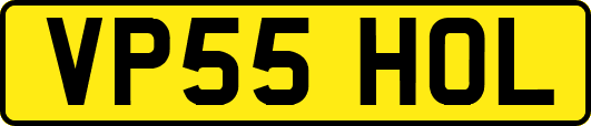 VP55HOL