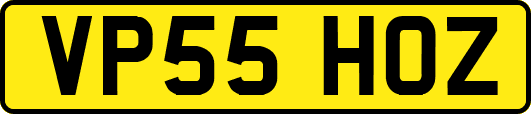 VP55HOZ