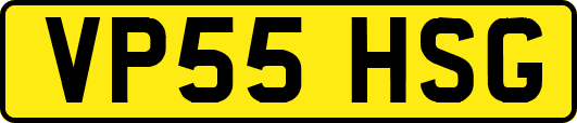 VP55HSG