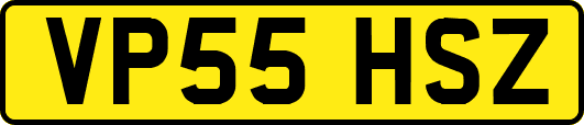 VP55HSZ
