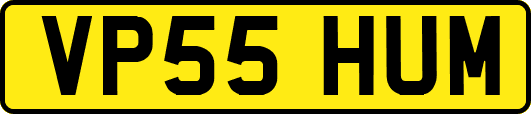 VP55HUM