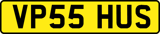 VP55HUS