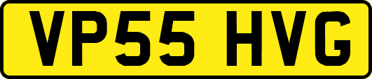 VP55HVG