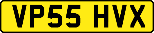 VP55HVX