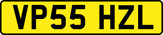 VP55HZL