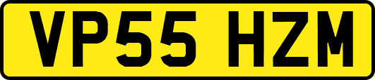 VP55HZM