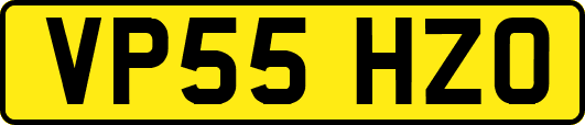VP55HZO