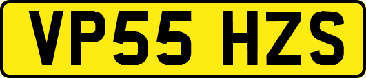 VP55HZS