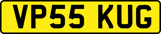 VP55KUG