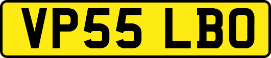VP55LBO