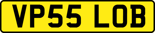 VP55LOB