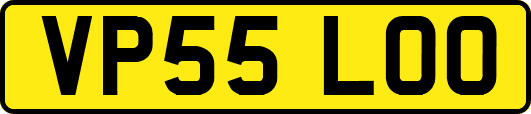VP55LOO