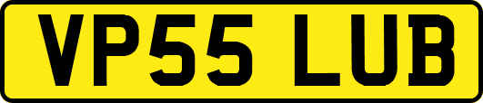 VP55LUB