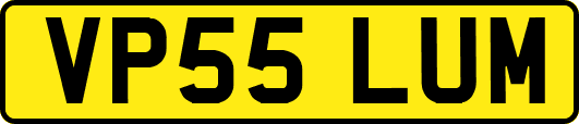 VP55LUM
