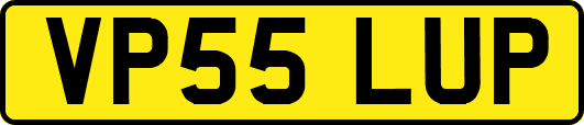 VP55LUP