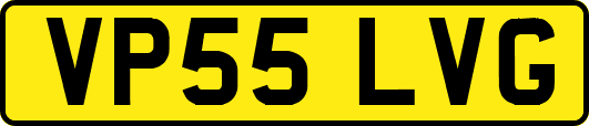 VP55LVG