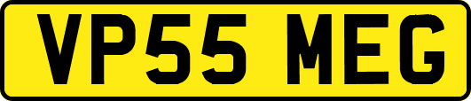 VP55MEG