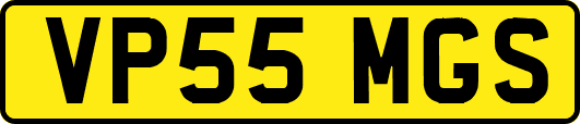 VP55MGS
