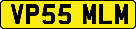VP55MLM