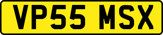 VP55MSX