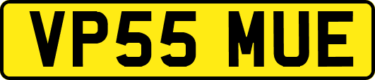 VP55MUE