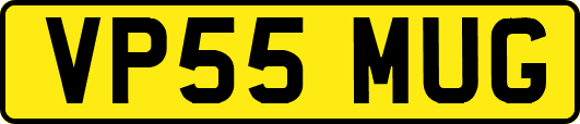 VP55MUG