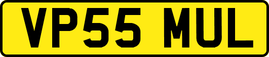 VP55MUL
