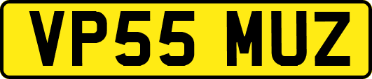 VP55MUZ