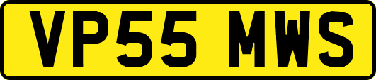 VP55MWS